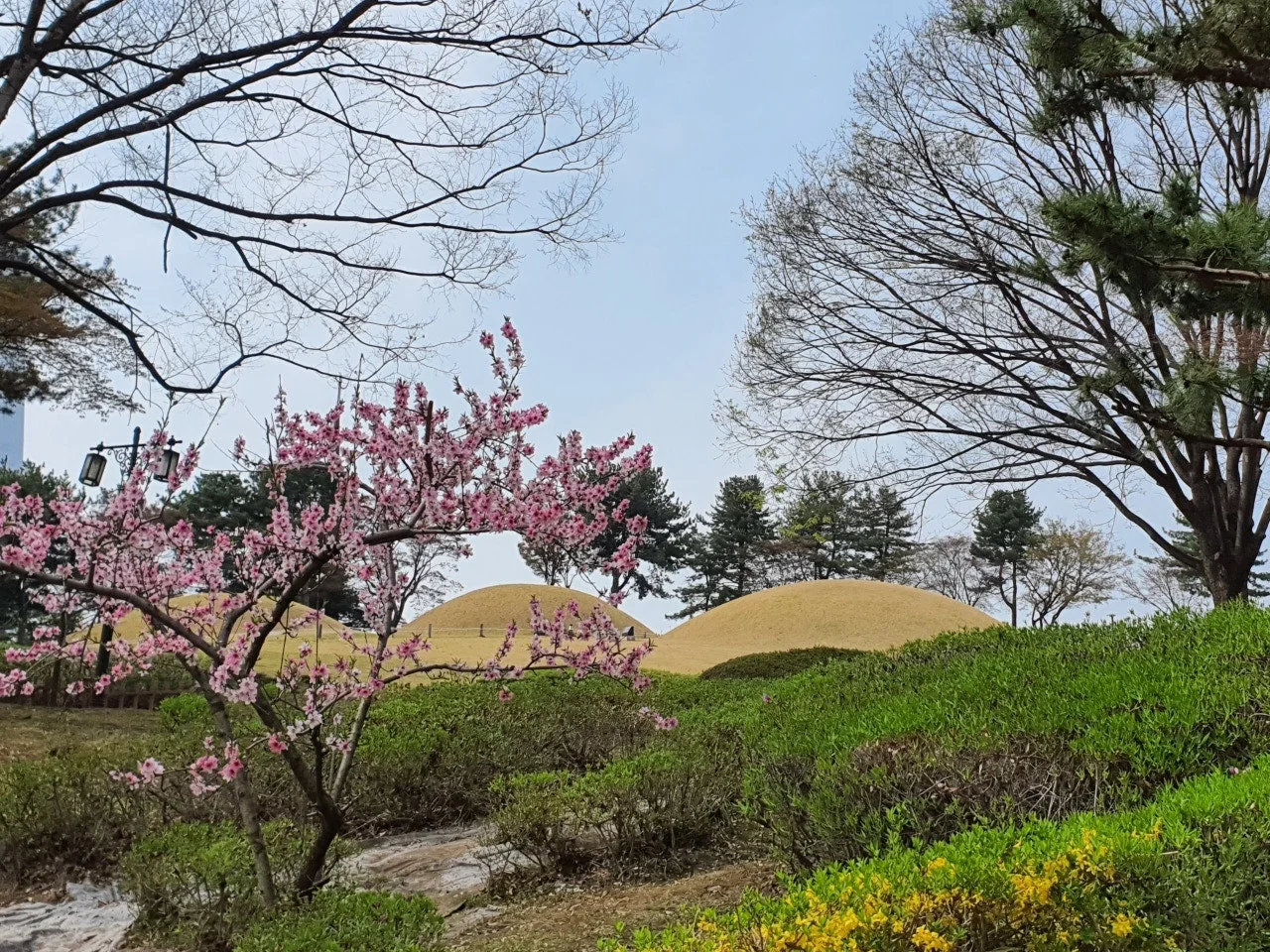 3472594408705562192.jfif