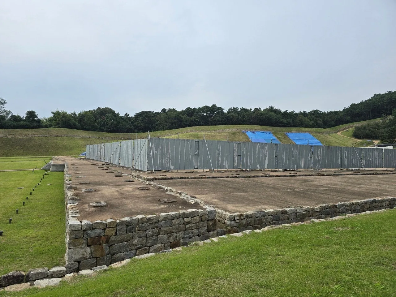 3472594758163903568.jfif