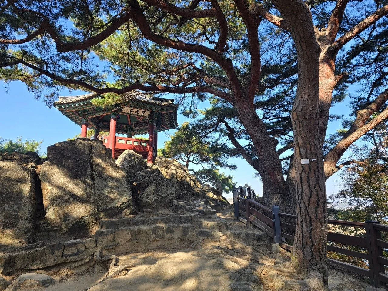 3472595050715075152.jfif