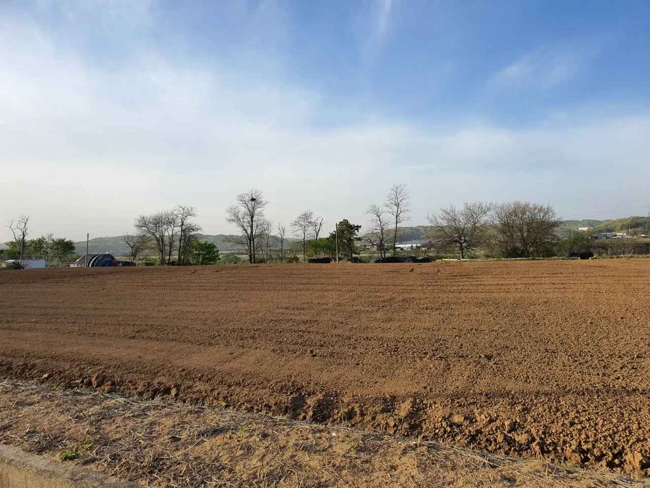 3472594408848270928.jfif