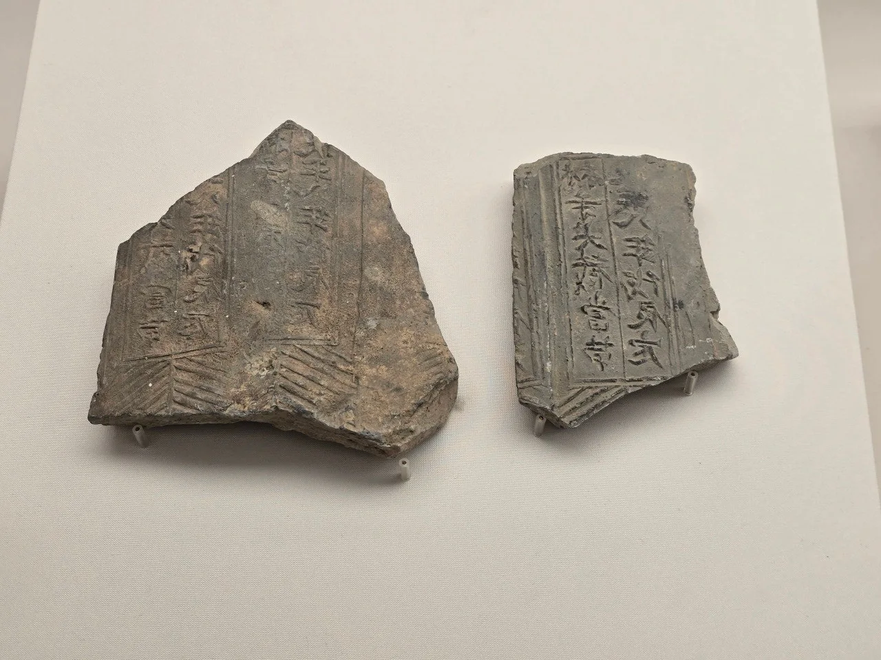 3472594758143657808.jfif