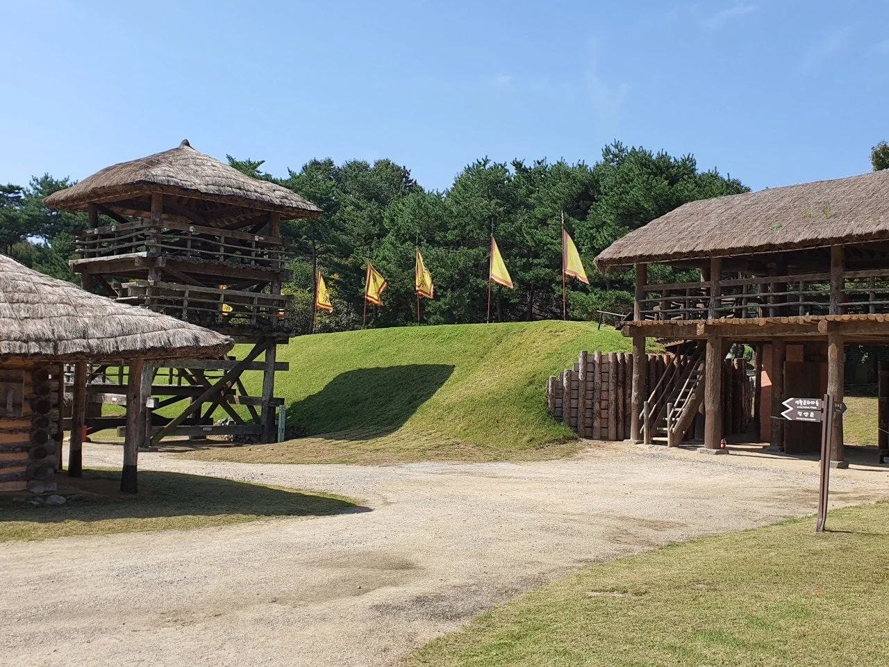 3472594408305253968.jfif