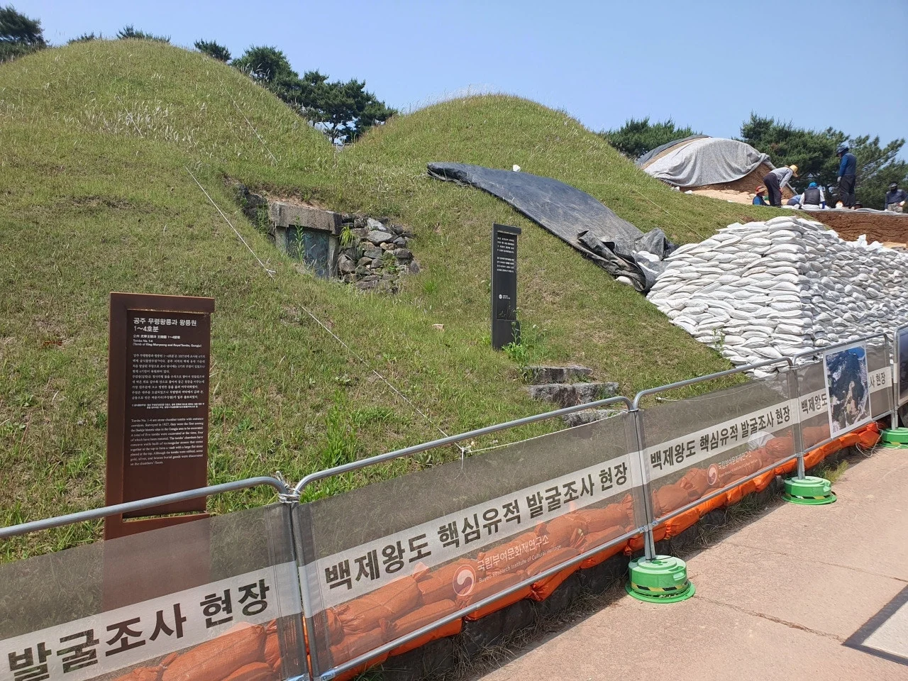 3472594408599583824.jfif