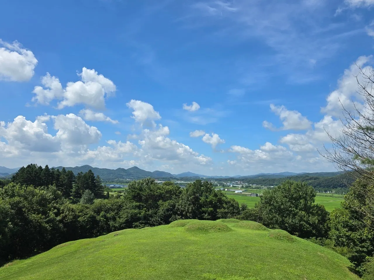 3472594459342284368.jfif