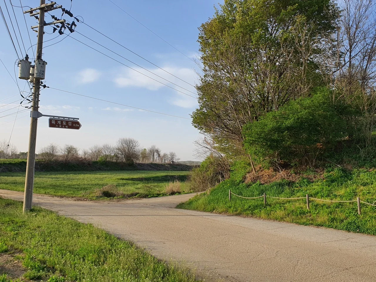 3472594408846943056.jfif