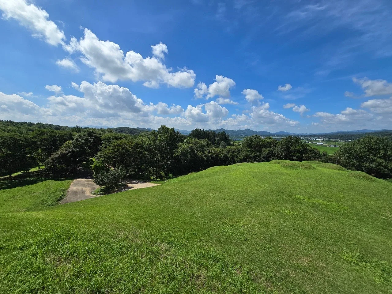 3472594459343595088.jfif