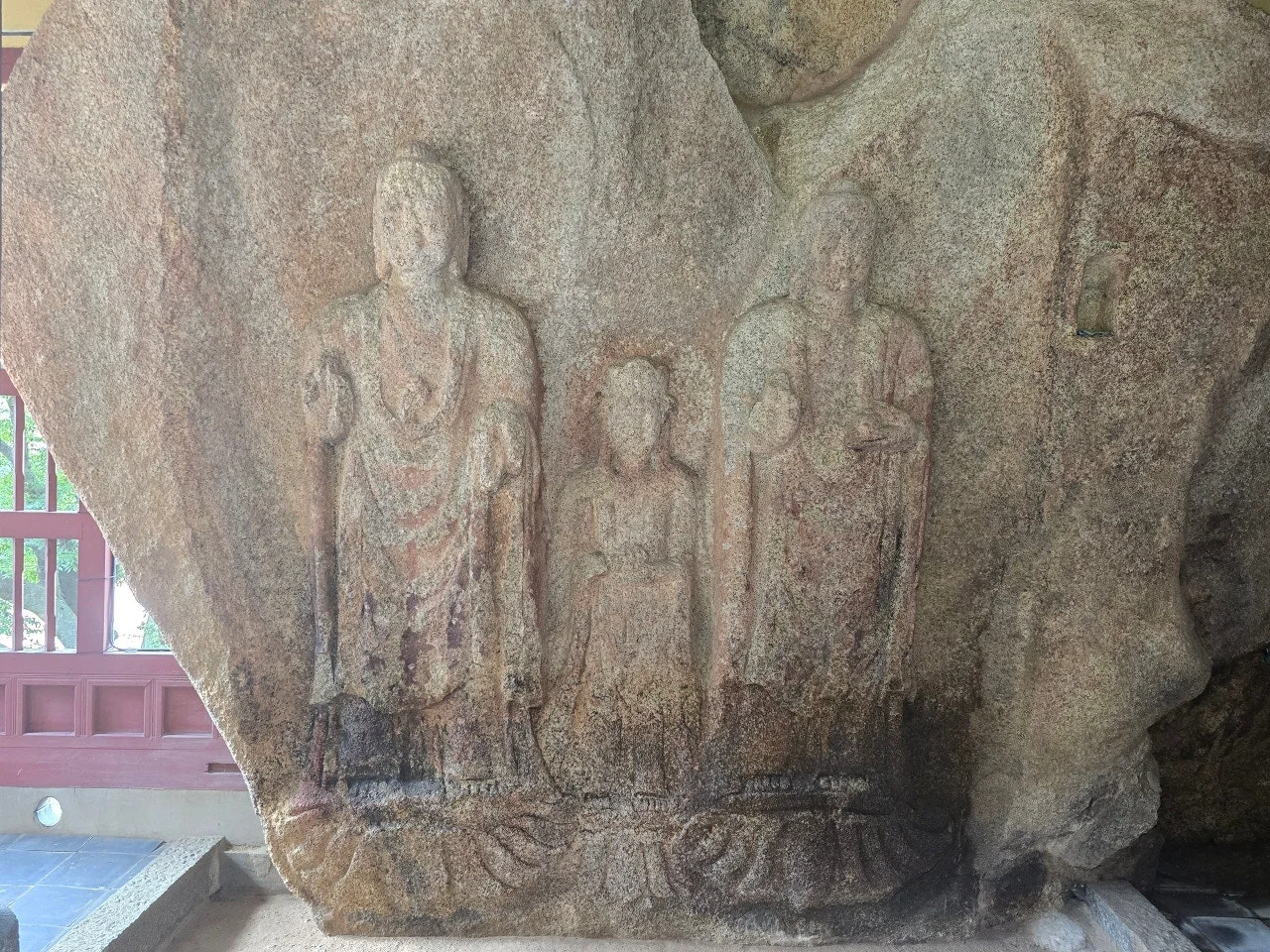 3472594654997840464.jfif