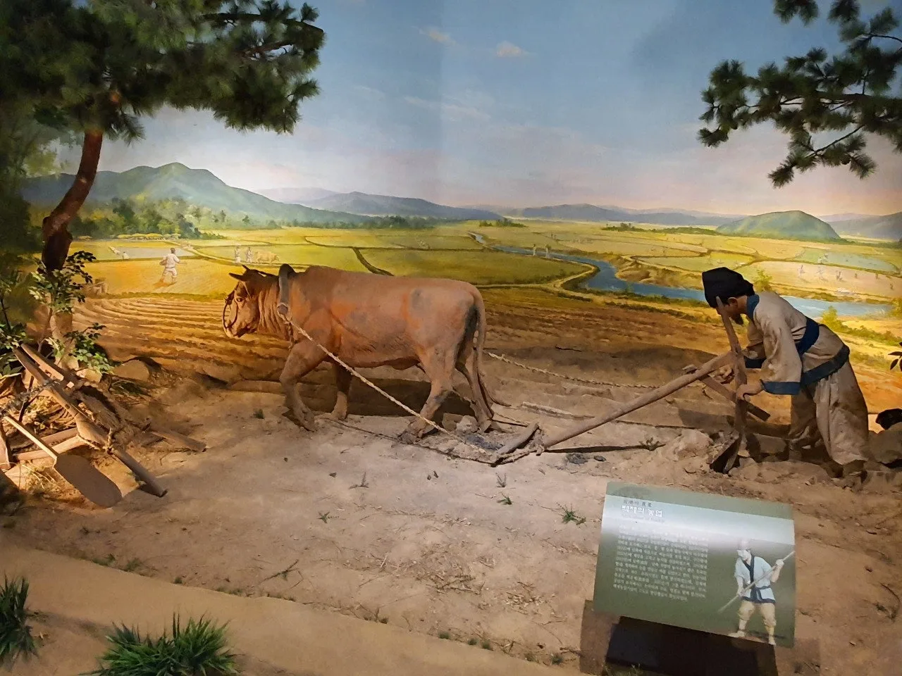 3472594408283397456.jfif