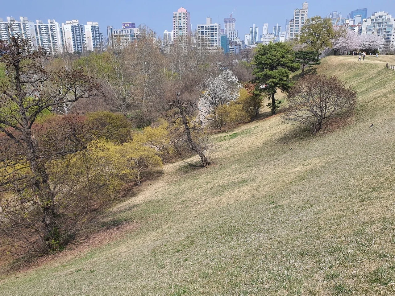 3472594408726264912.jfif