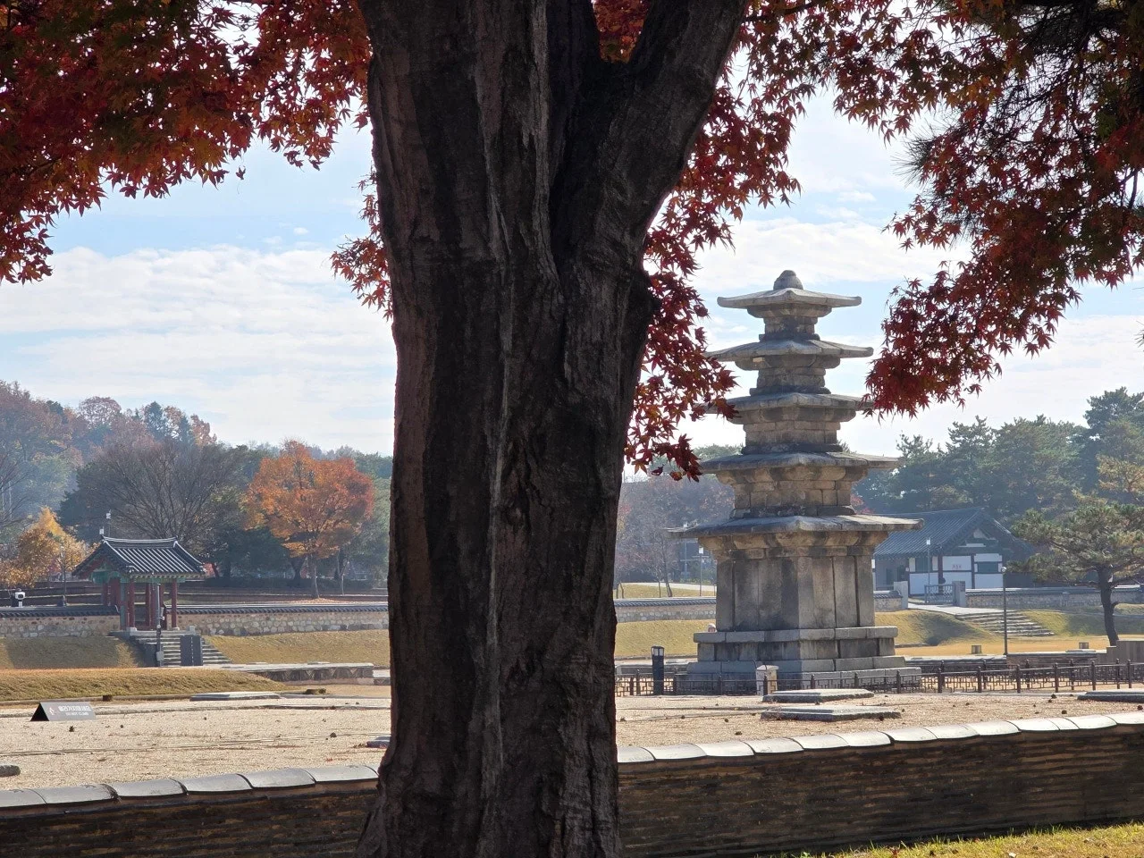 3472595050659933264.jfif