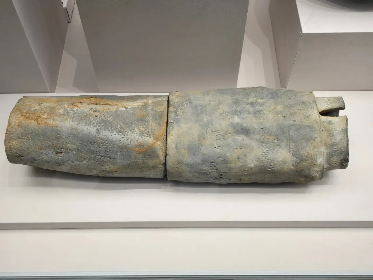 3472594758150038352.jfif