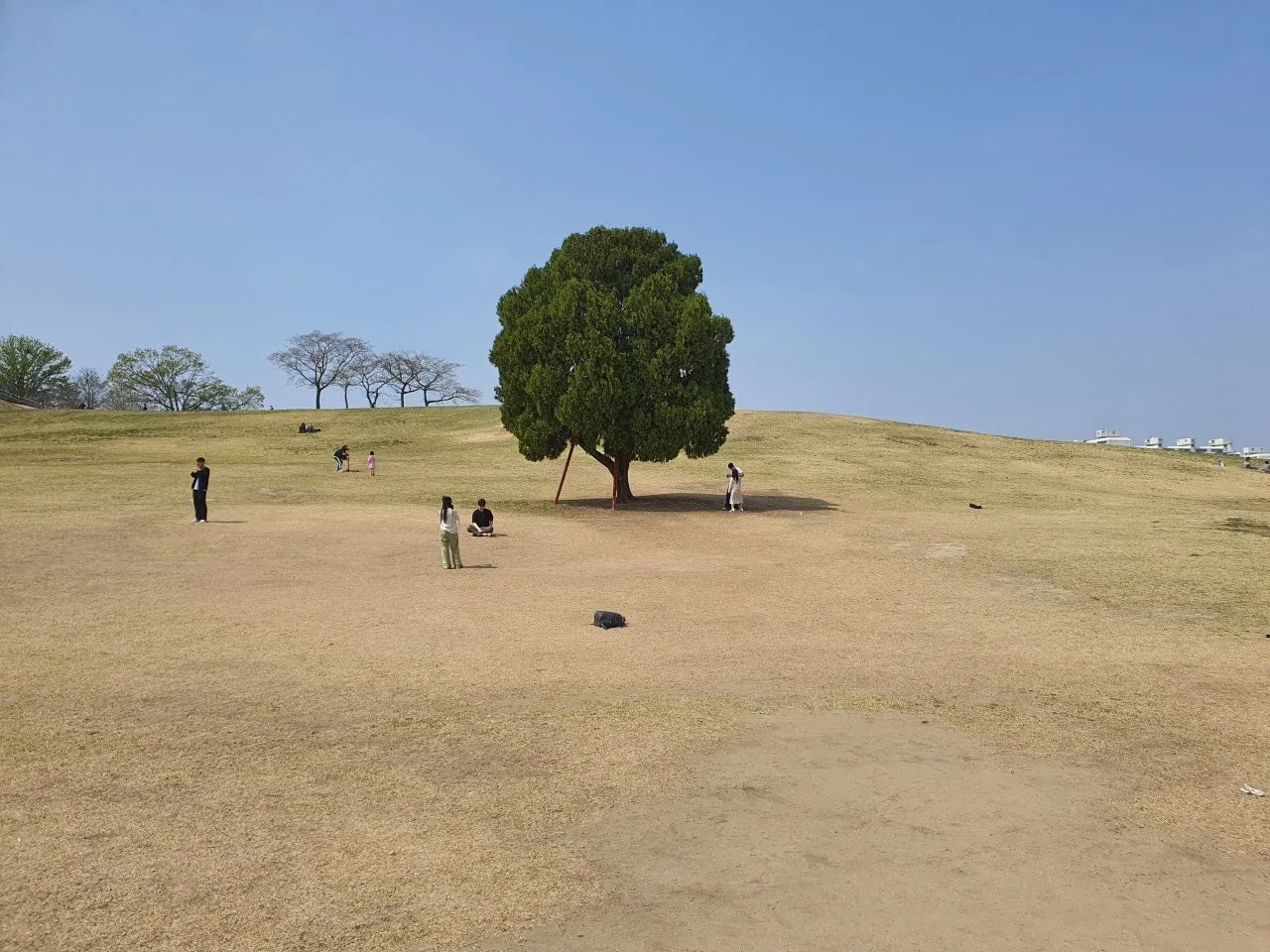 3472594408726628688.jfif