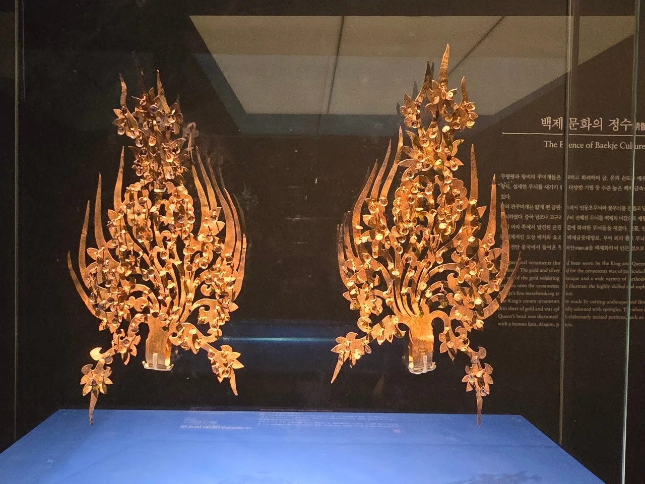 3472594459357071952.jfif