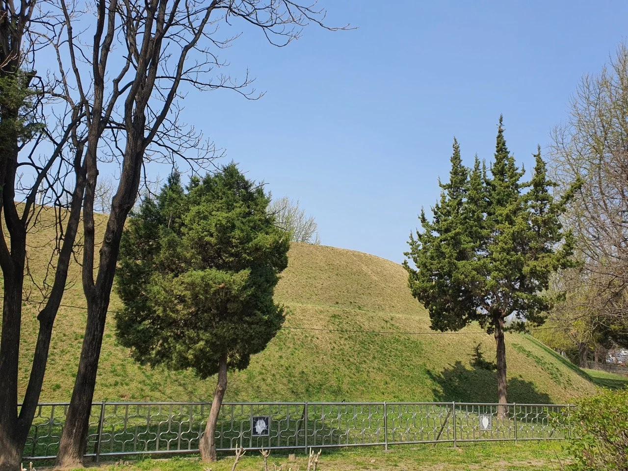 3472594408777984080.jfif