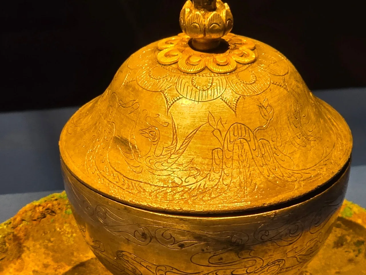 3472594459355156304.jfif