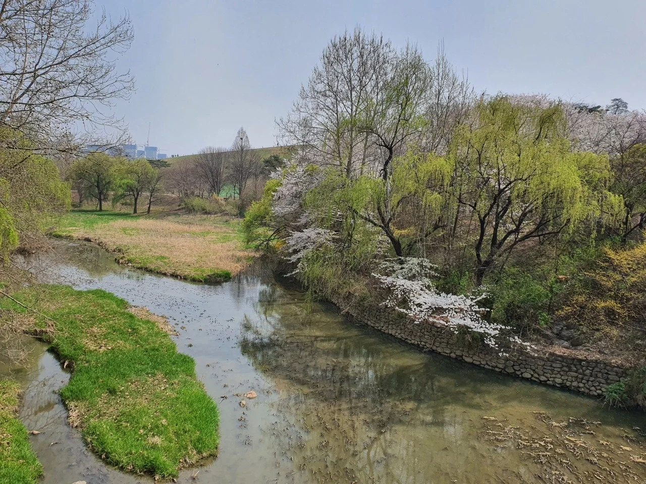 3472594408737083728.jfif