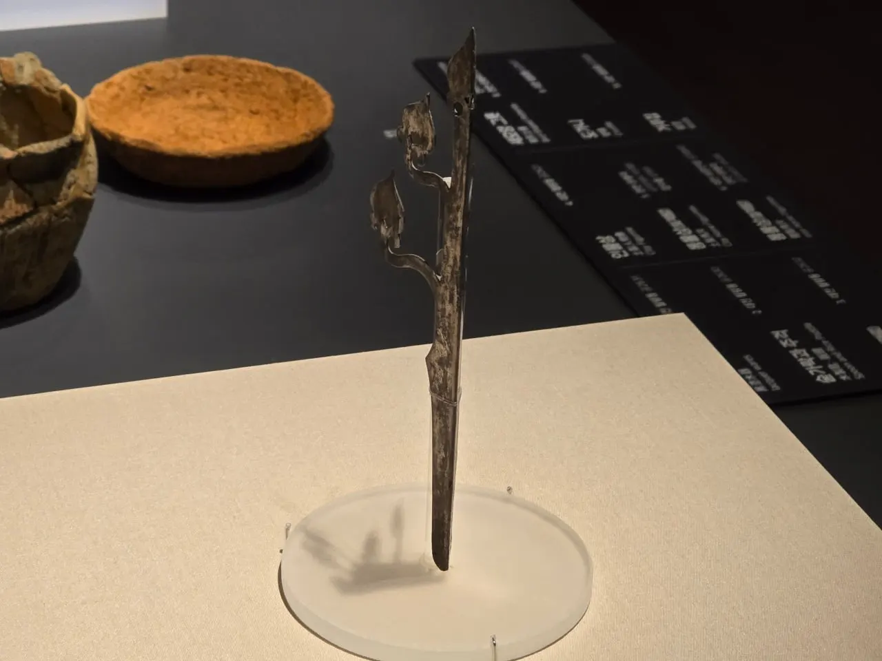 3472594459377304912.jfif