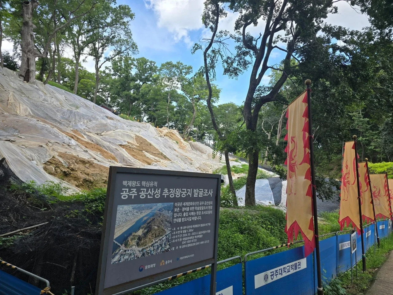 3472594459424288592.jfif