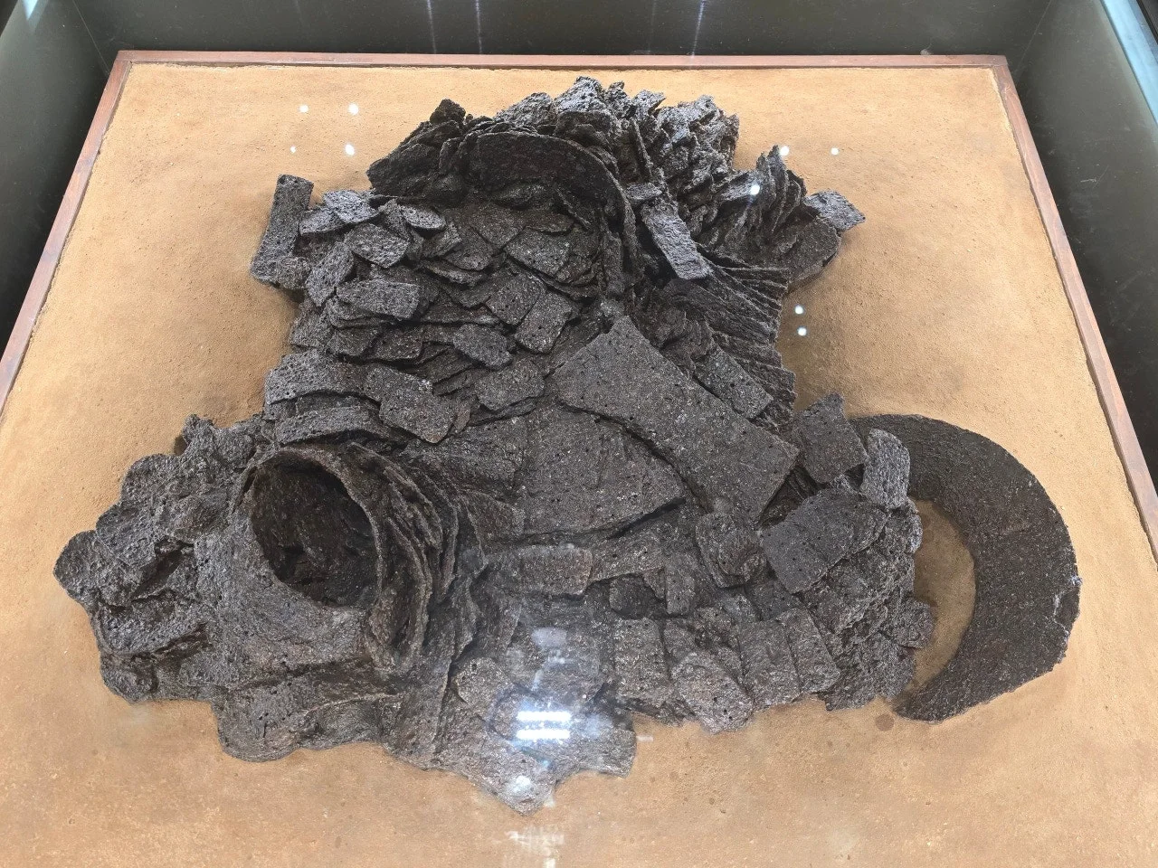 3472594408634537808.jfif