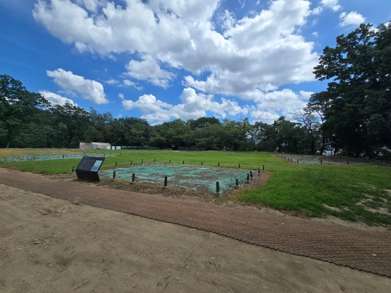 3472594459422827344.jfif