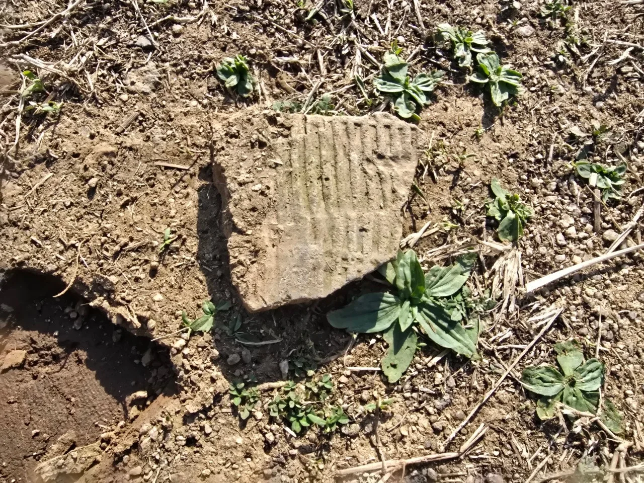 3472594408909465936.jfif