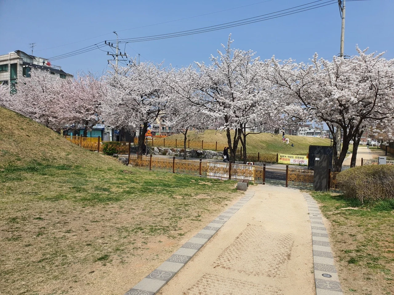 3472594408744974416.jfif