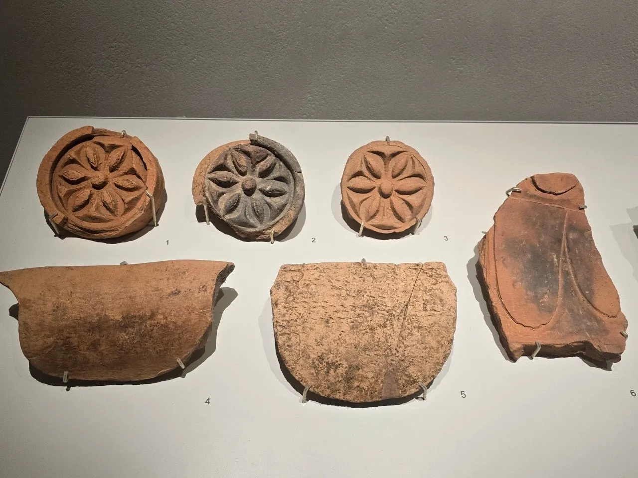 3472594452903274576.jfif