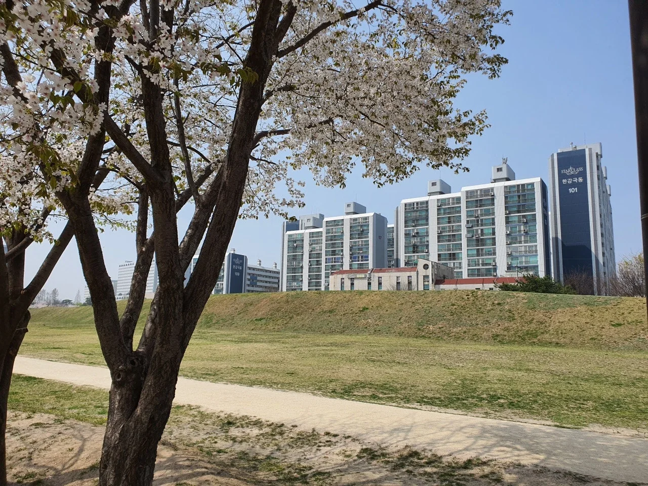 3472594408741193552.jfif