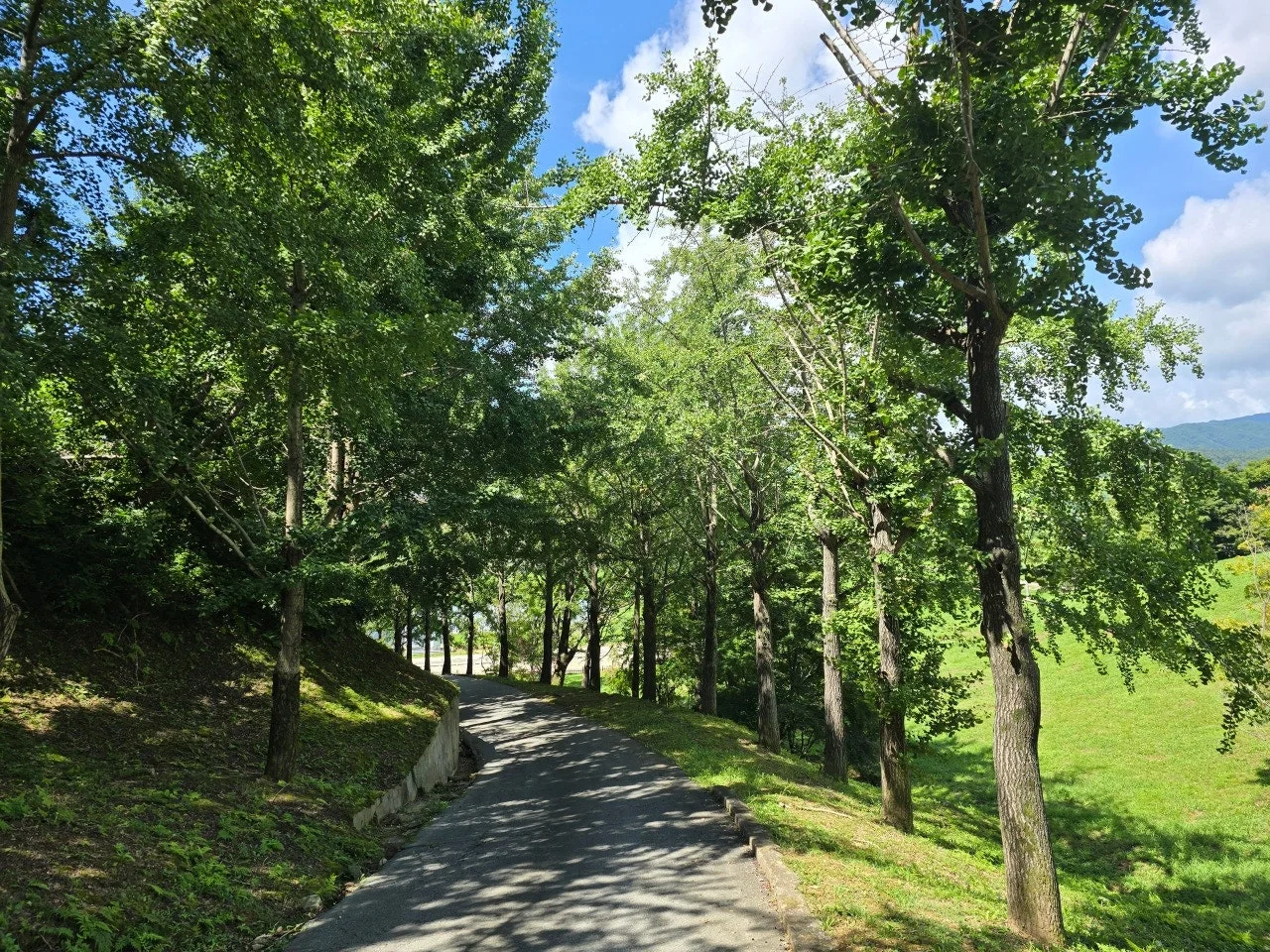 3472594459350096208.jfif