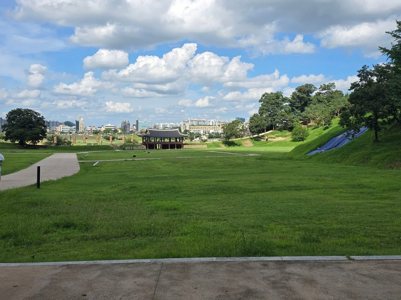 3472594459449771856.jfif