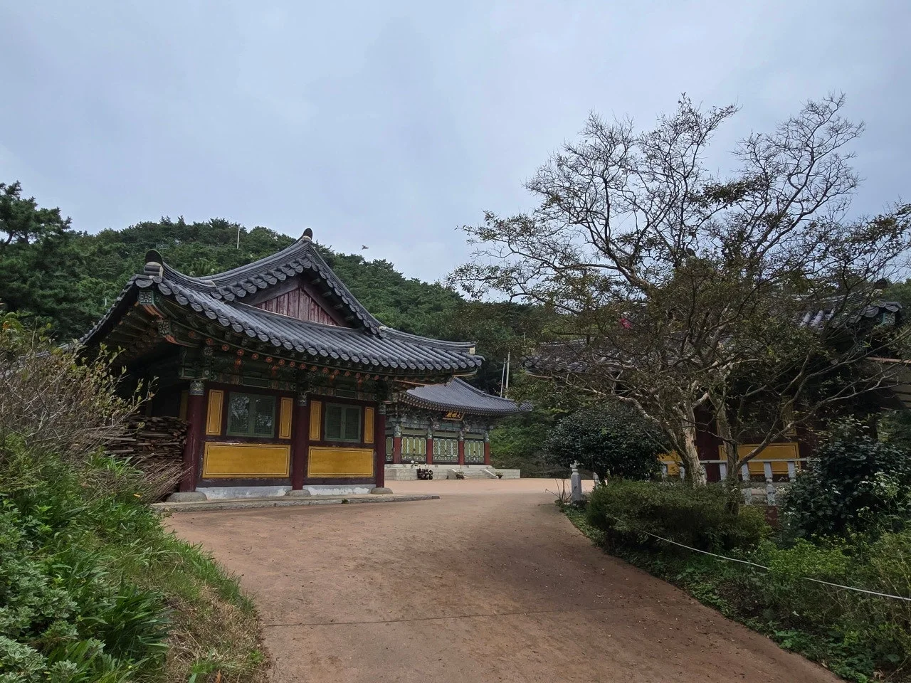 3472594654992664400.jfif