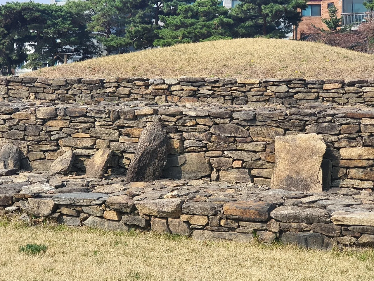 3472594408785497936.jfif