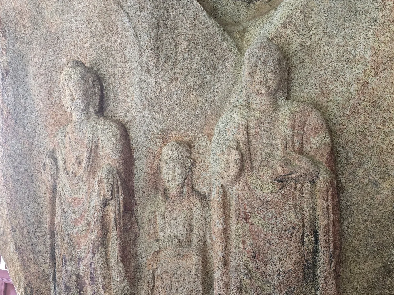 3472594654995828816.jfif