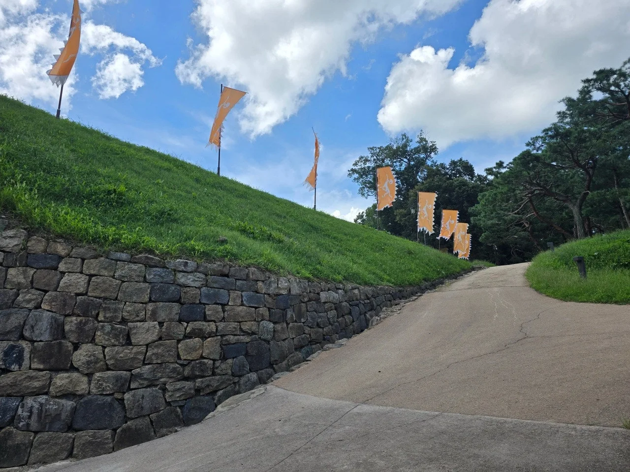 3472594459452712784.jfif