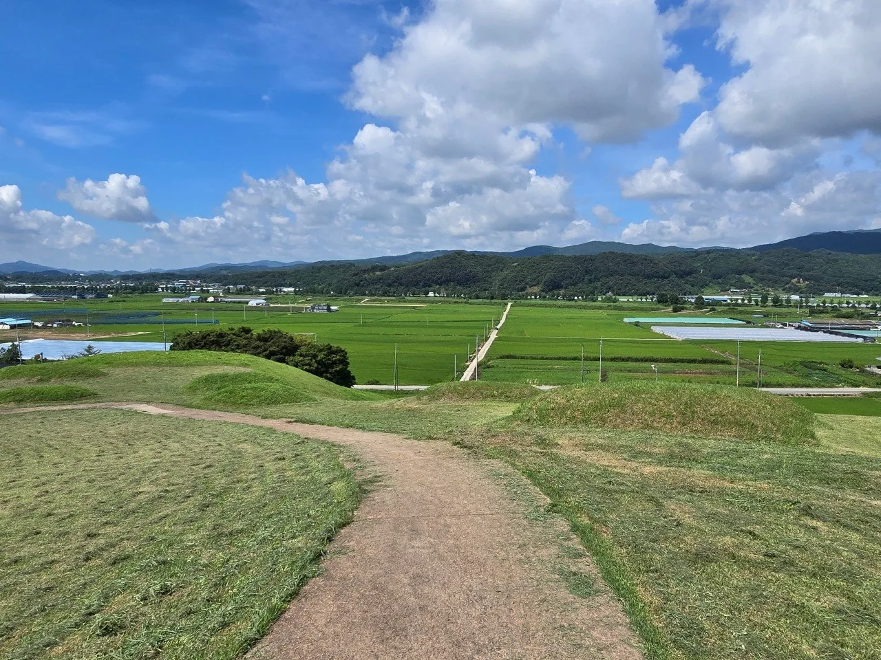 3472594459338980176.jfif