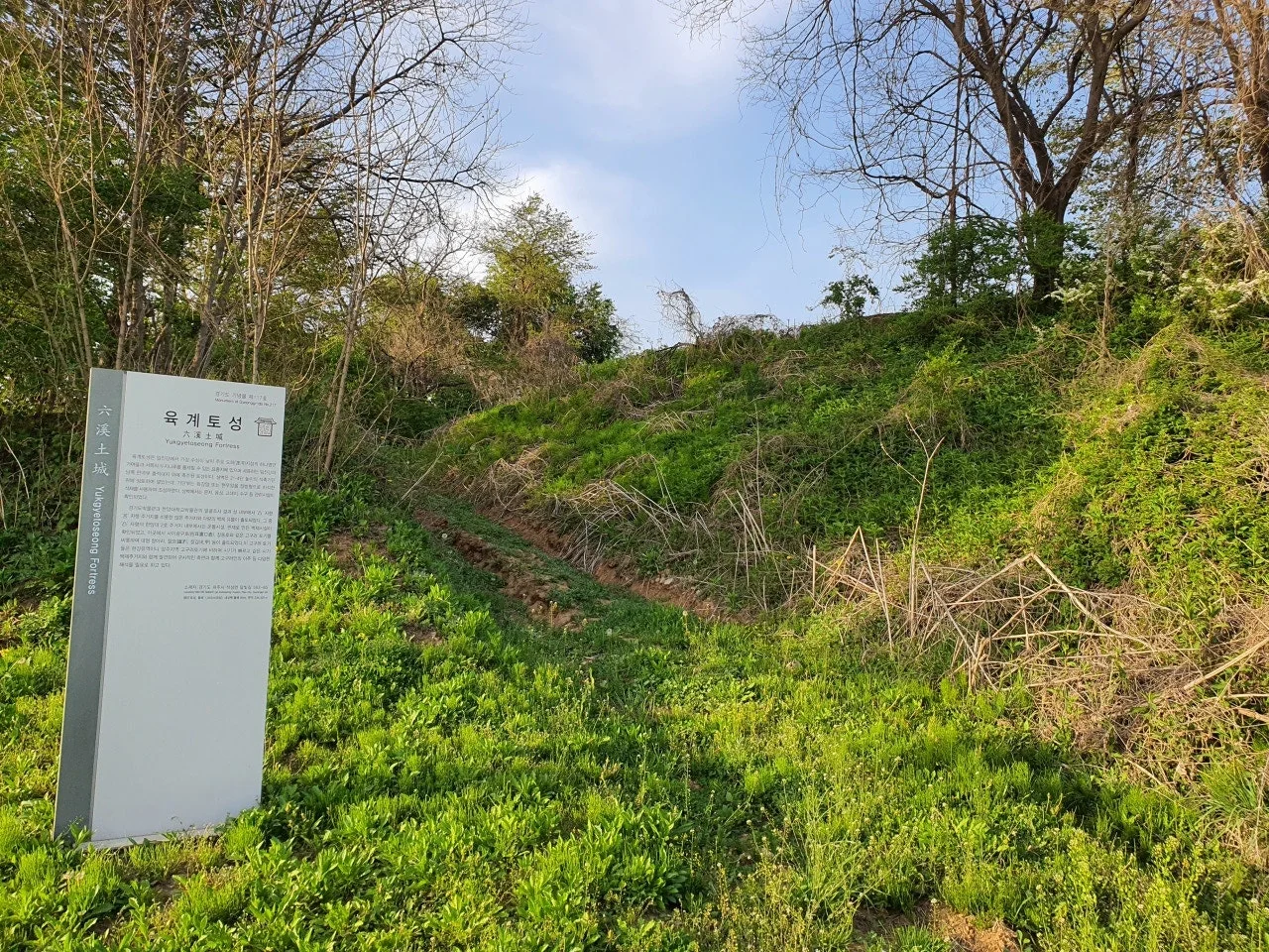 3472594408846244176.jfif