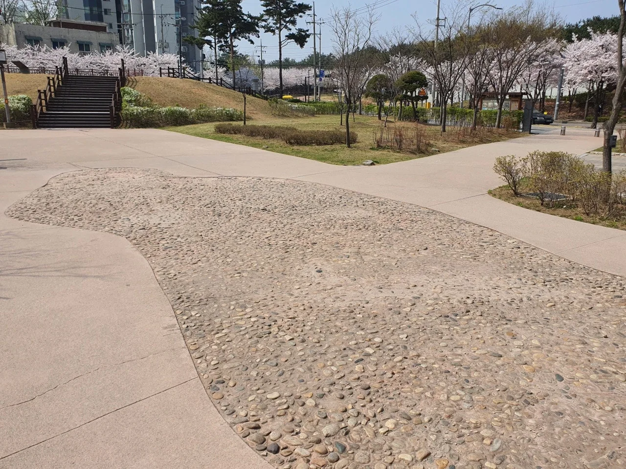 3472594408756163664.jfif