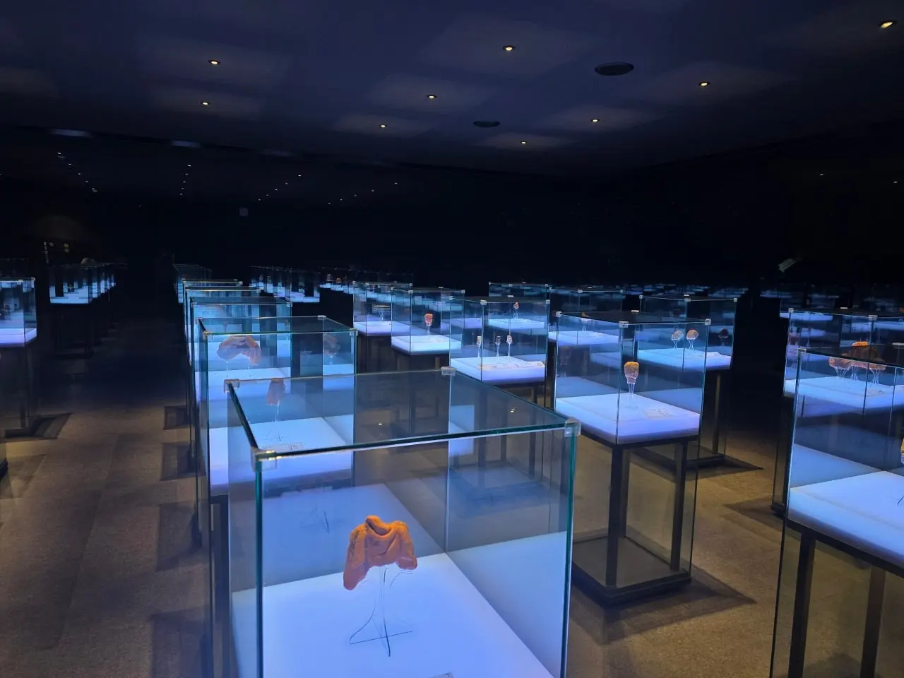 3472595050755916368.jfif