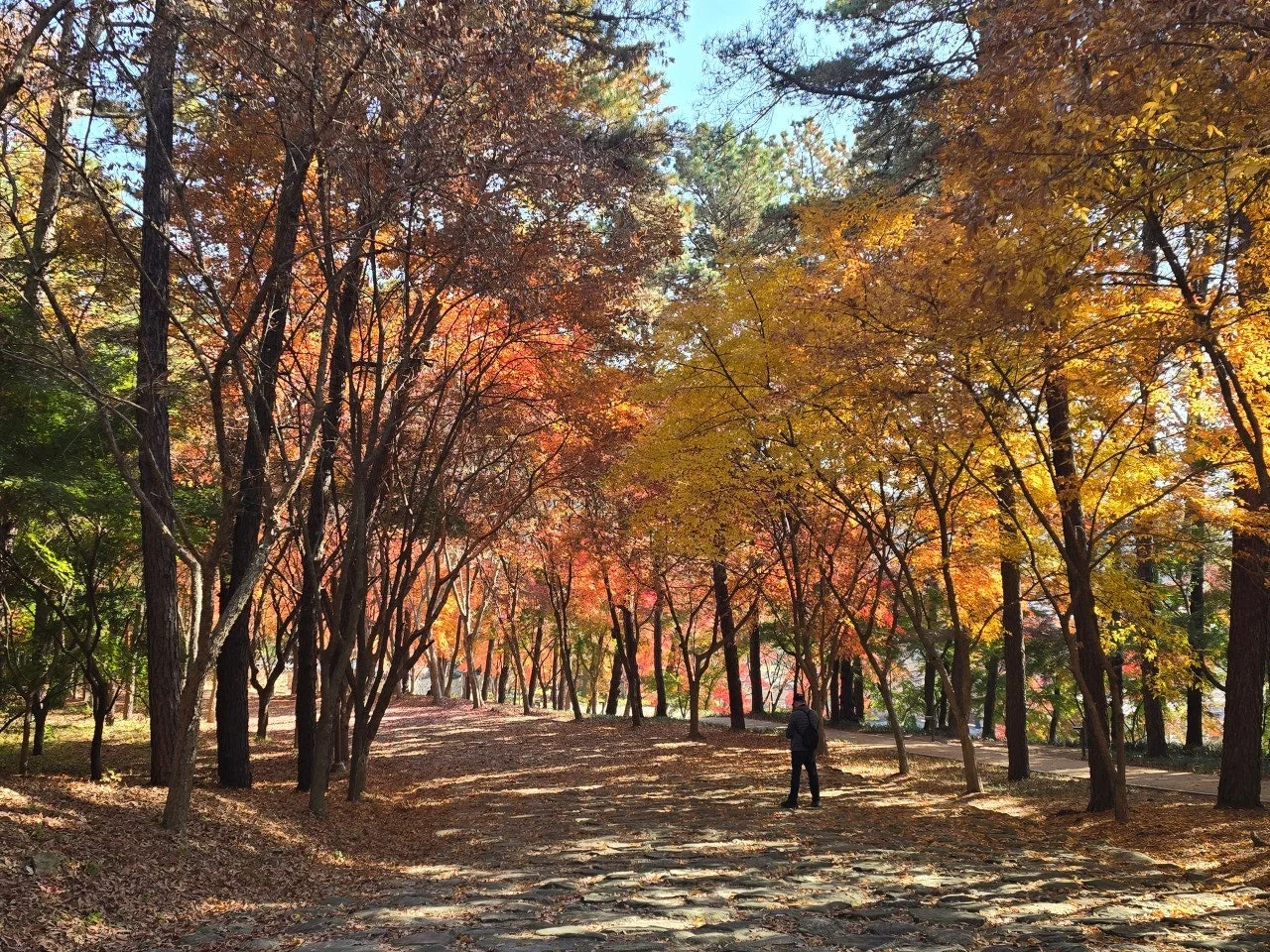 3472595050719983696.jfif