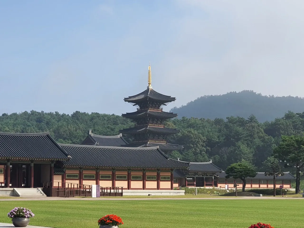 3472594408349644368.jfif