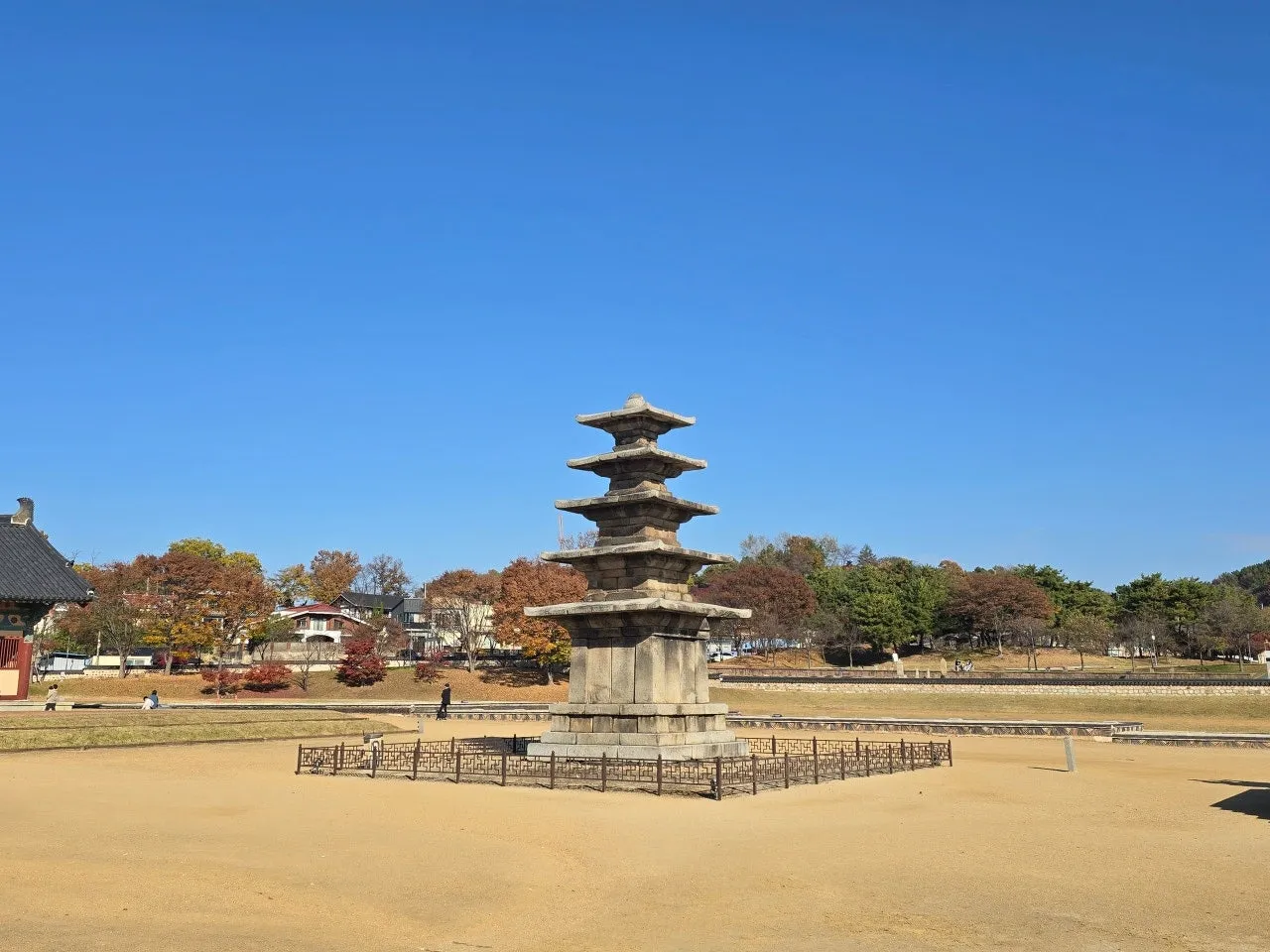 3472595050743867216.jfif