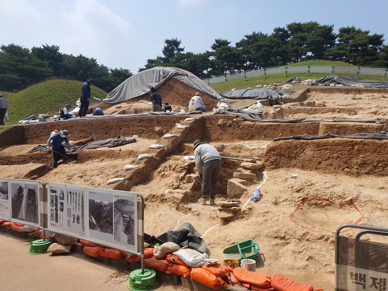 3472594408598853200.jfif