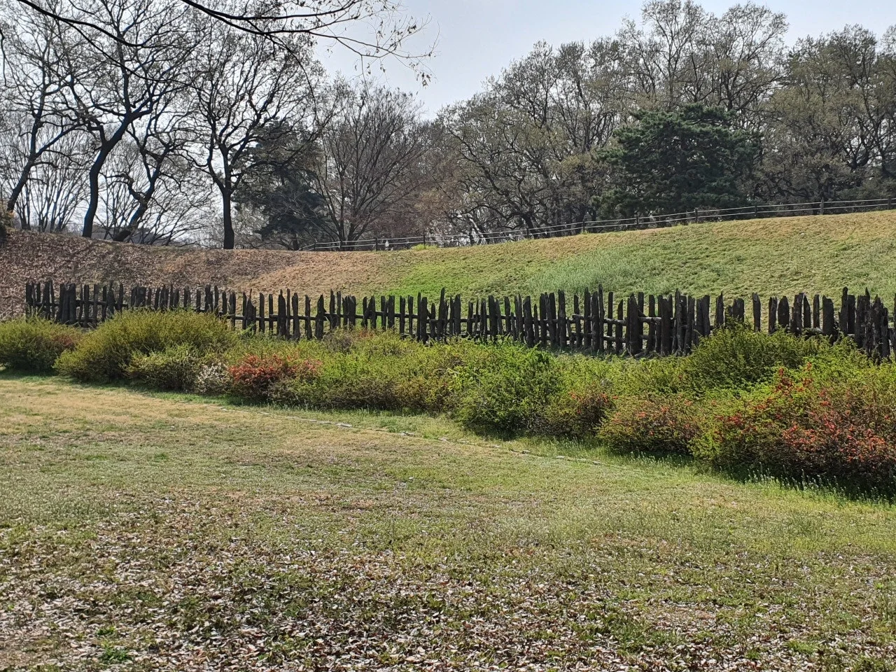 3472594408713835344.jfif