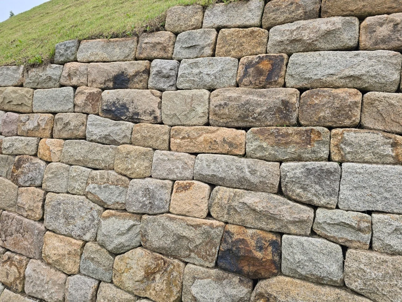 3472594758168544336.jfif