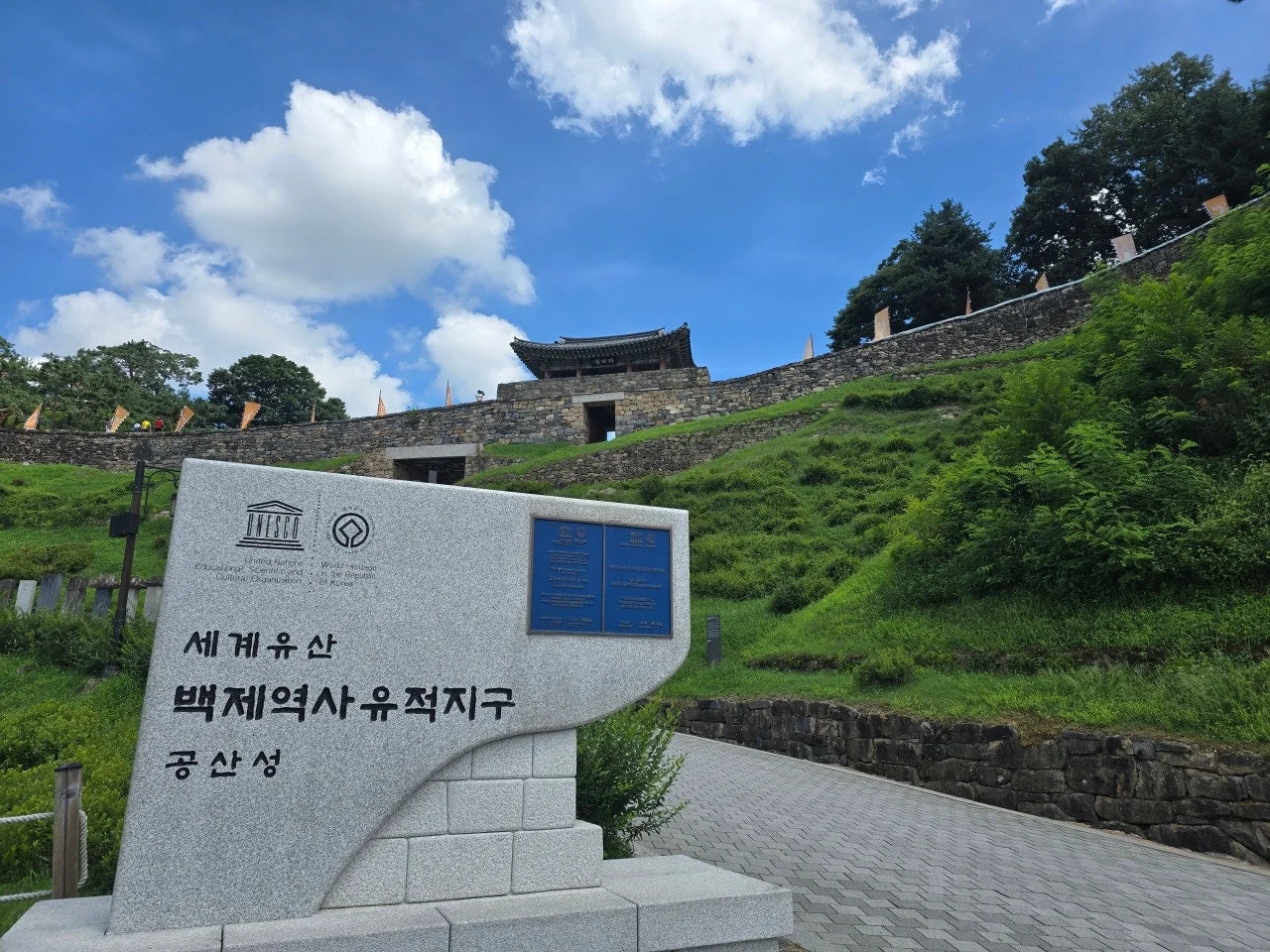 3472594459414257232.jfif