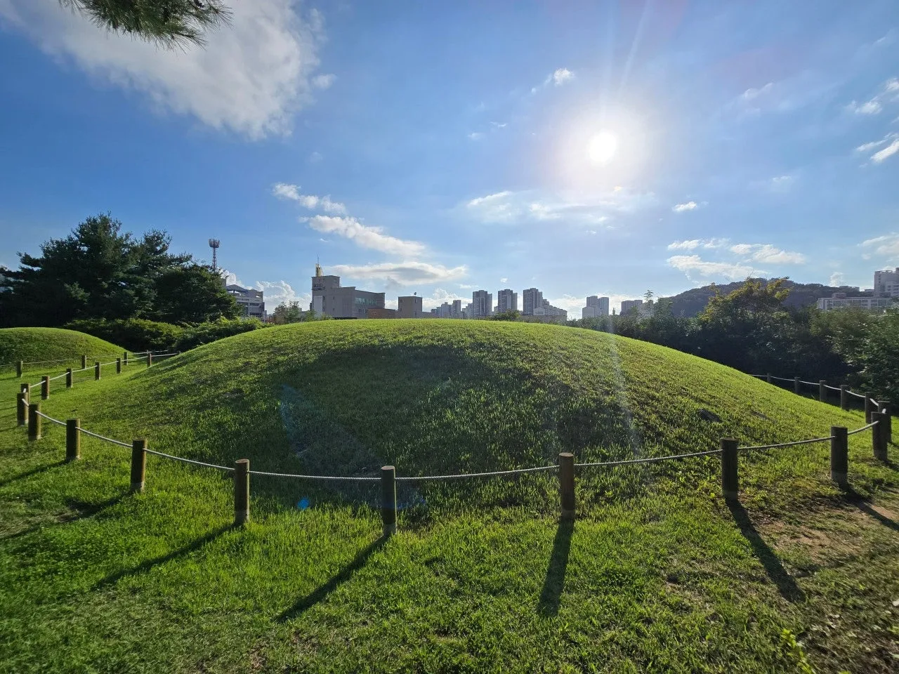 3472594459331363408.jfif