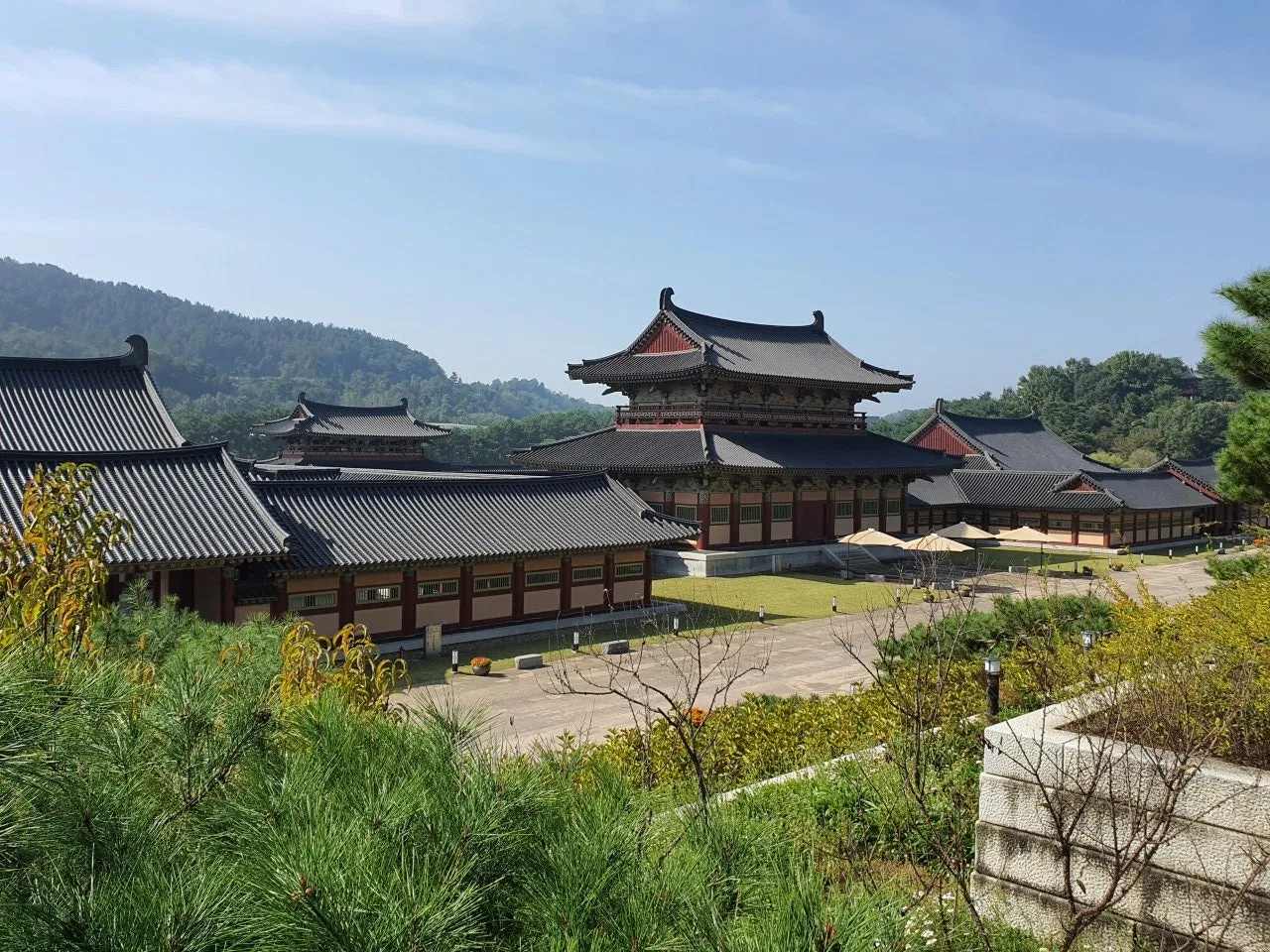 3472594408335616080.jfif