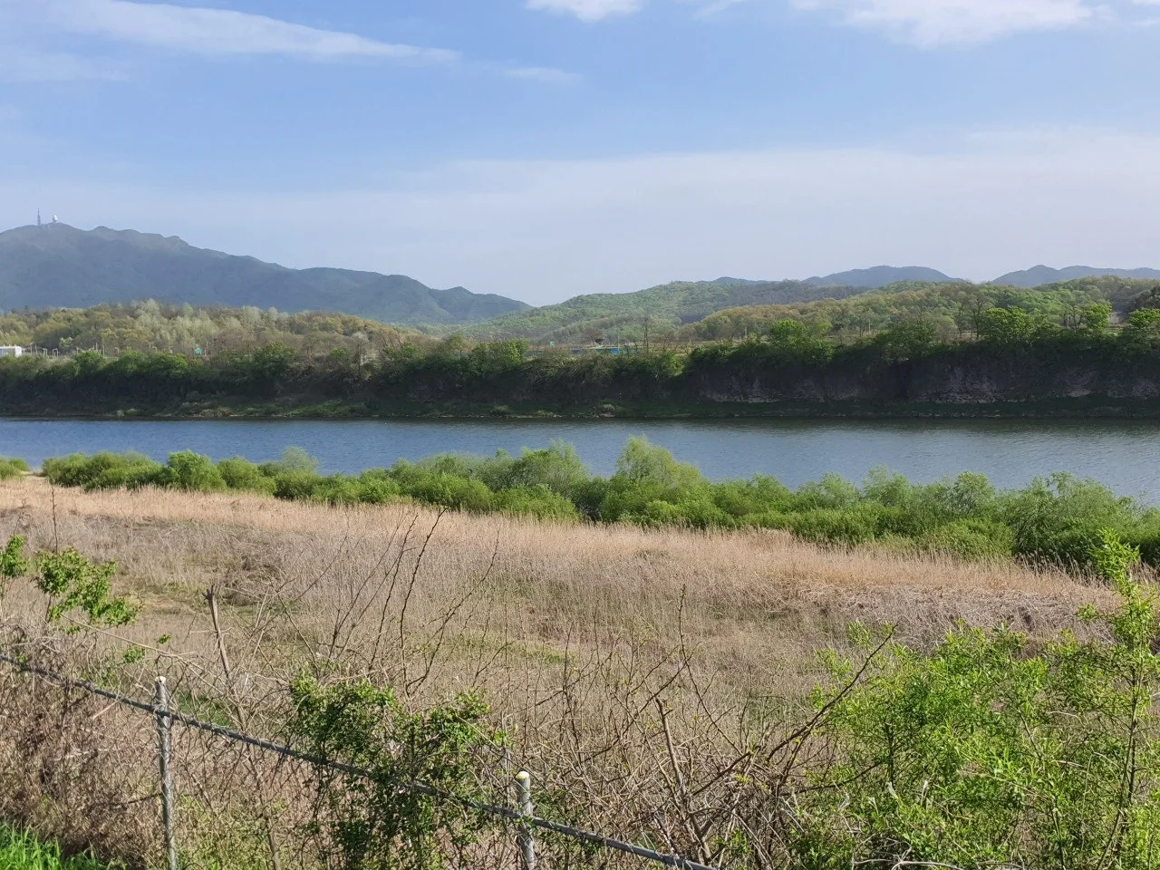 3472594408858336592.jfif