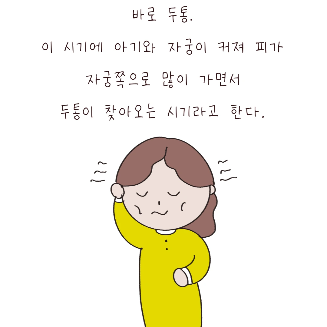 제목_없는_아트워크 8.PNG