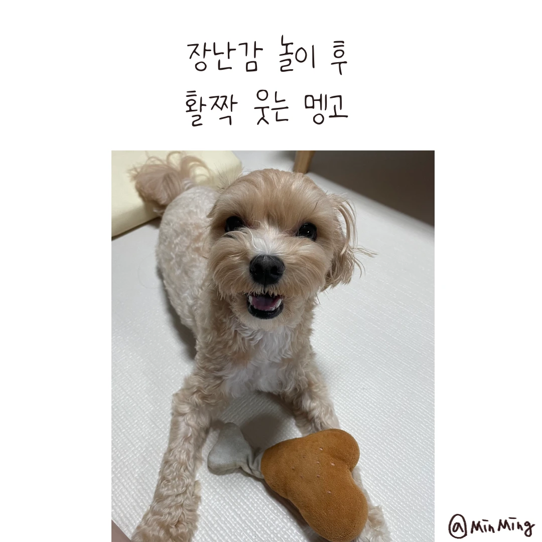 제목_없는_아트워크 10.PNG